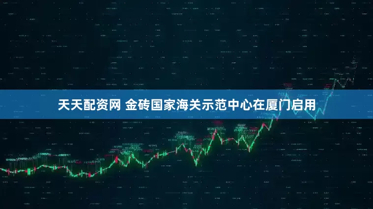 天天配资网 金砖国家海关示范中心在厦门启用