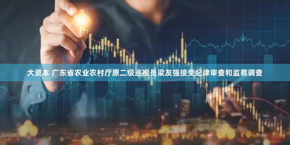 大资本 广东省农业农村厅原二级巡视员梁友强接受纪律审查和监察调查