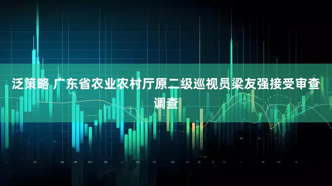 泛策略 广东省农业农村厅原二级巡视员梁友强接受审查调查