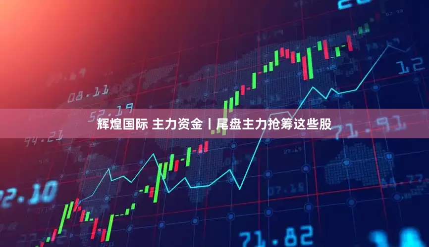 辉煌国际 主力资金丨尾盘主力抢筹这些股